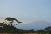 Kenia  (66)